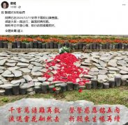 向死而生：生态葬重塑的生命美学